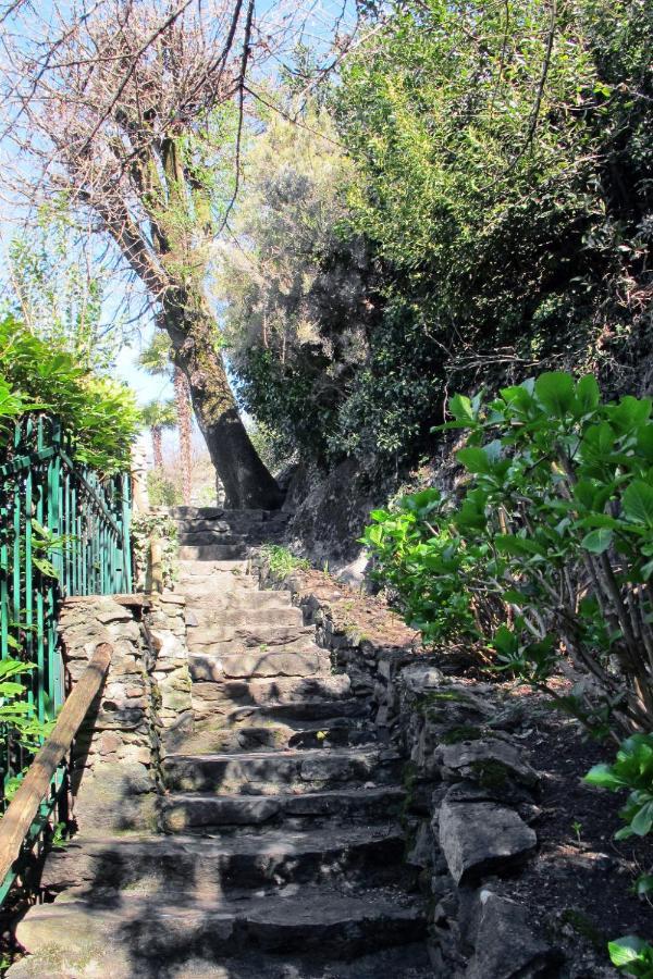 Villa Locazione Turistica La Coccinella - OLG170 Olgiasca Esterno foto